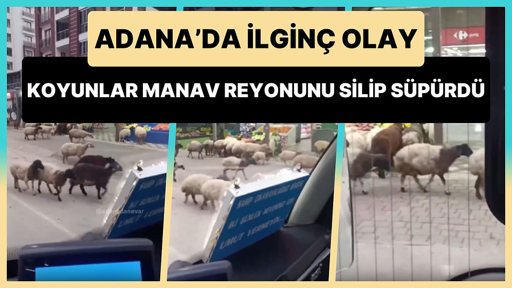 Adana'da Caddeye Giren Koyun Sürücü Zincir Marketin Manav Reyonundaki Meyve Sebzeleri Yedi