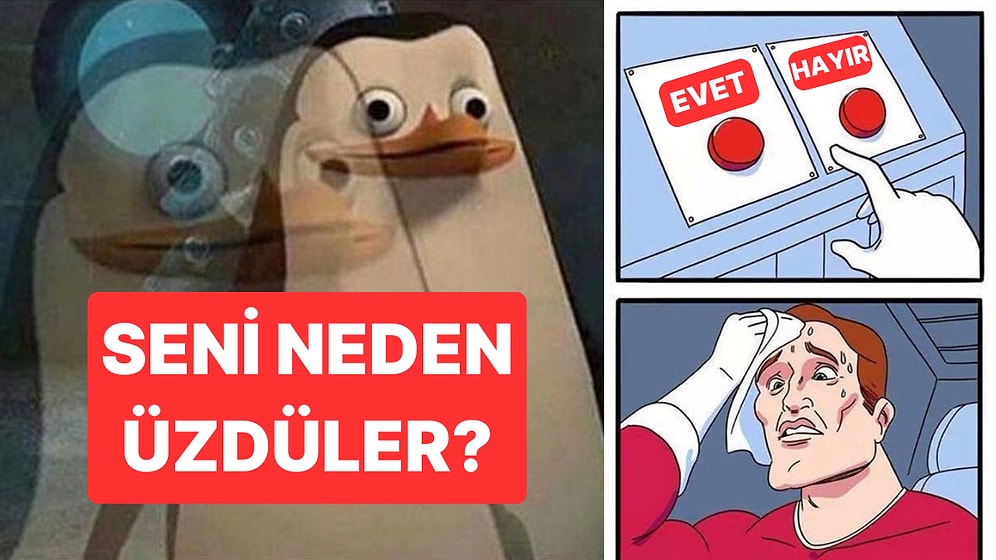 Bu Evet Hayır Testine Göre Seni Neden Üzdüler?