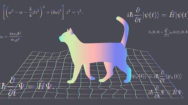 10. Schrodinger'in Kedisi adlı düşünce deneyi hangi fizik dalıyla ilgilidir?