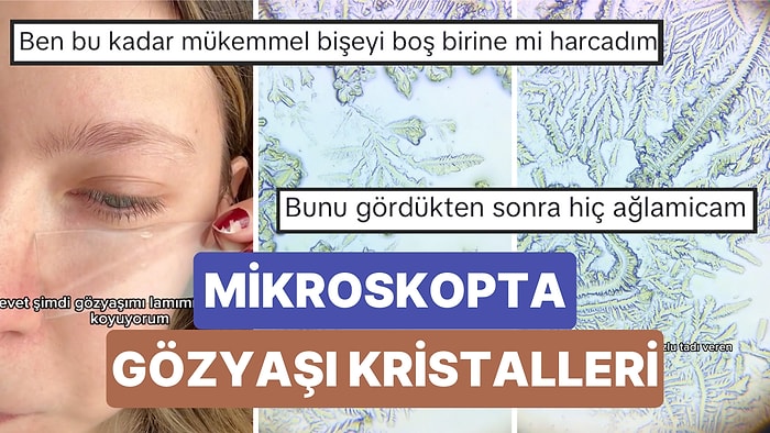 Mikroskopta İlginç İncelemeler Yapan Biyolog Bu Sefer de Gözyaşı Kristallerini İnceledi