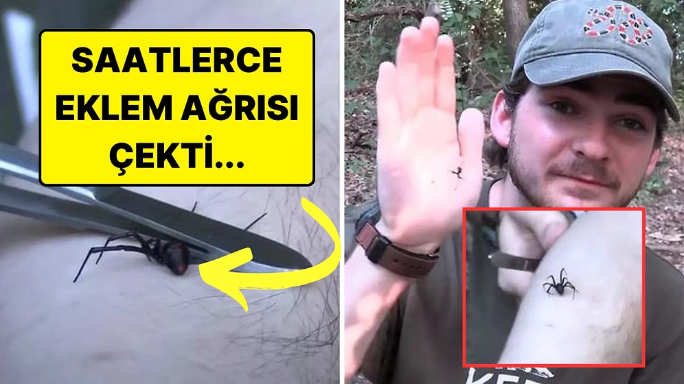 Kasıtlı Olarak Kendisini Karadul Örümceklerine ve Eşek Arılarına Sokturan Doğa Aşığı YouTuber