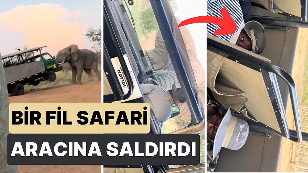 Havaya Kaldırdı! Bir Filin Safari Aracına Saldırdığı Anlar Hem Aracın İçinden Hem Dışarıdan Görüntülendi