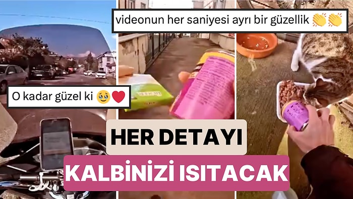 Bir Kişi Hamile Bir Kedi İçin Mama ve Kediyi Beslemesini Rica Ettiği Kurye İçin de Çikolata Sipariş Etti