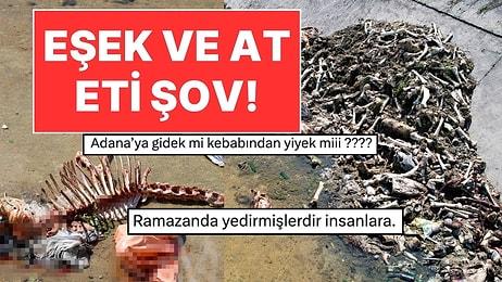 Adana'da Skandal Görüntüler: Kesilmiş At ve Eşek Kalıntıları Kanalda Bulundu!
