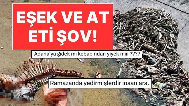 Adana'da Skandal Görüntüler: Kesilmiş At ve Eşek Kalıntıları Kanalda Bulundu!