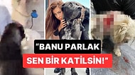 Banu Parlak'ın Tasmasız Gezdirdiği Köpeği Komşunun Köpeğini Öldürdü: Fenomenden İlk Açıklama Geldi!