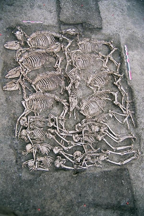 6. Fransa'daki Gondole'de, oppidumun surlarından 300 metre uzakta bulunan, dikdörtgen bir mezara birlikte gömülmüş olan, iki sıra halinde ve dörde dört şeklinde sıralanmış 8 adam ve atlarından oluşan bir Kelt toplu cenazesi. (M.Ö 1. yüzyıl)