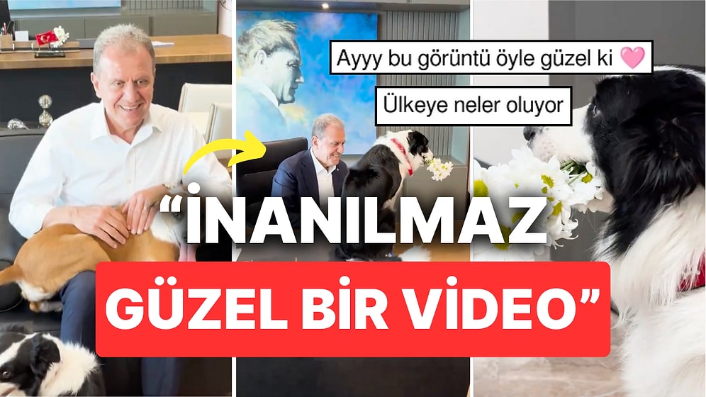 Mersin Büyükşehir Belediye Başkanı Vahap Seçer'i Tebrik Etmek İçin Köpeği Karamel ile Arkadaşı Makama Geldi