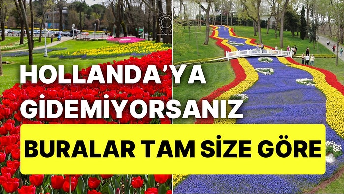 İstanbul Lale Festivali Başlıyor: Laleleri Görebileceğiniz Birbirinden Güzel Yerler ve Tarihleri!