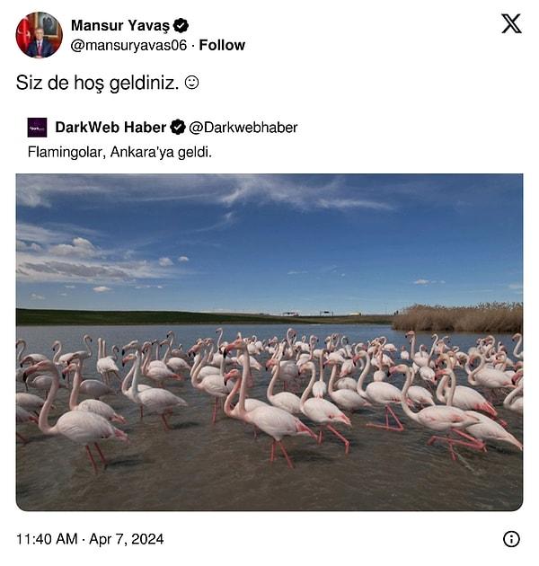 Flamingolar Ankara'da!