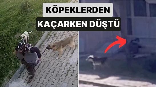 Edirne'de Sokak Köpeklerinden Kaçan Bir Kadın Merdivenlerden Çıkmaya Çalışırken Düşerek Kafasından Yaralandı