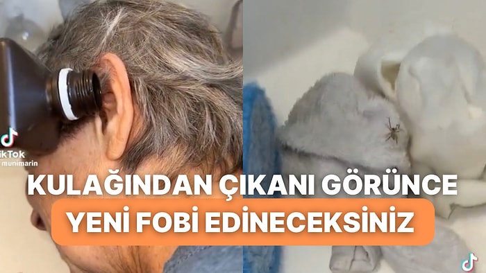 Kadının Kulağından Çıkan Örümceği Görünce Yeni Fobi Kilidiniz Açılacak