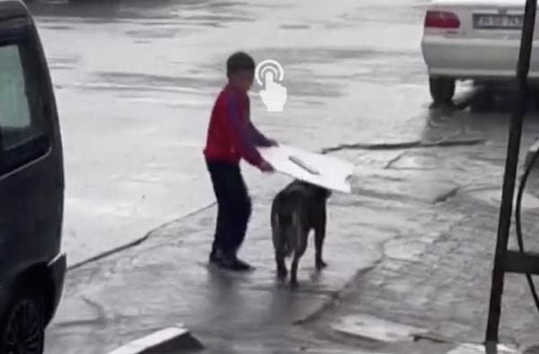 Esenyurt'ta bir çocuk, yağmurda ıslandığını gördüğü bir köpeğin yardımına koştu.