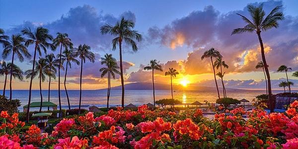 2. Hawaii