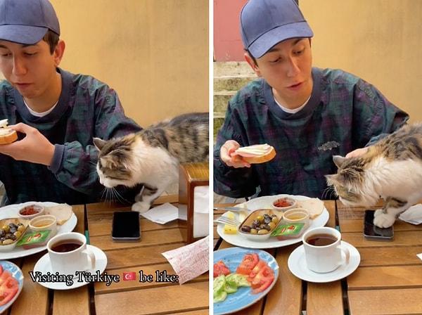 Türkiye'yi ziyaret eden bir turist Türk kahvaltısının tadını çıkarırken, yanına bir kedi yaklaştı.