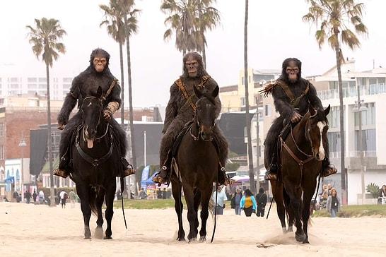 Horseback Apes Seen in NY for the Upcoming 'Kingdom Of The Planet Of The Apes' Film