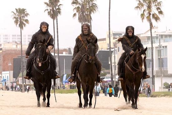 Horseback Apes Seen in NY for the Upcoming 'Kingdom Of The Planet Of The Apes' Film