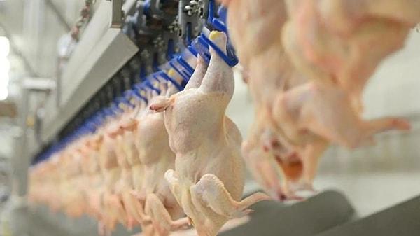 Tavuk etinde artan fiyatlar sebebiyle bakanlığın tavuk etinin dış ülkelere ihraç edilmesine kısıtlama getirileceği konuşuluyordu.