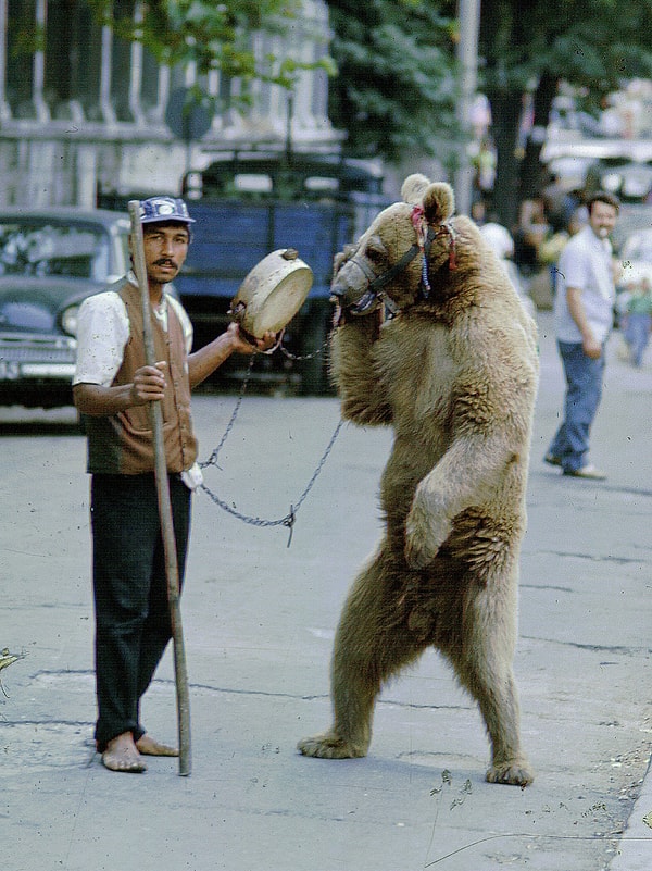 Fotoğraflar ise gerçekten görülmeye değer!