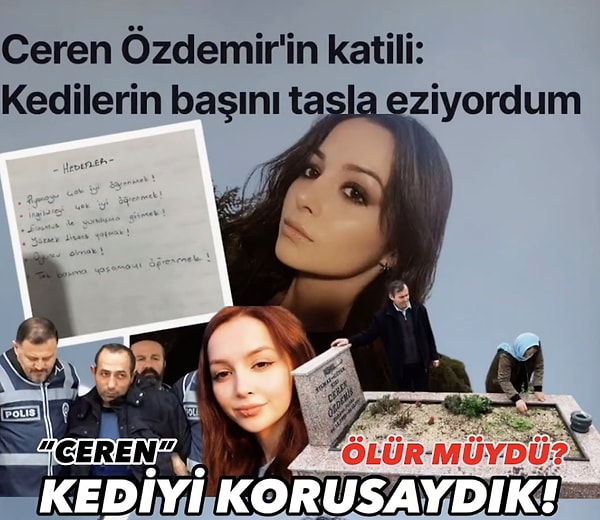 Arslan, daha önce birçok kez kedileri canice katlettiğini söyleyen katilin ifadesinden yola çıkarak bir soru sordu: "Kediyi koruyabilseydik, Ceren ölür müydü?"