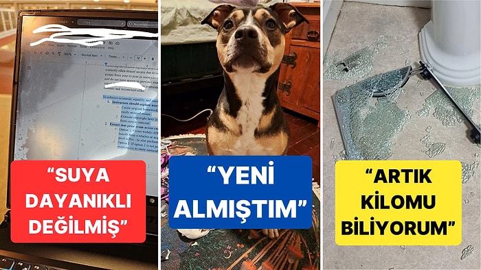 Çöle Düşse Kutup Ayılarıyla Karşılaşıp Birtakım Tatsız Olaylar Yaşayabilecek Bahtsız Kişiler