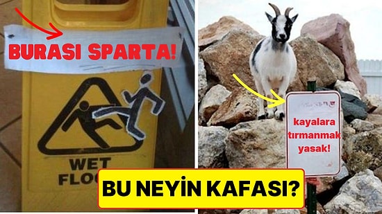 Hangi Kafayla Yazıldıklarını Çözmeye Çalışırken Beyninizin Yanacağı 15 Levha