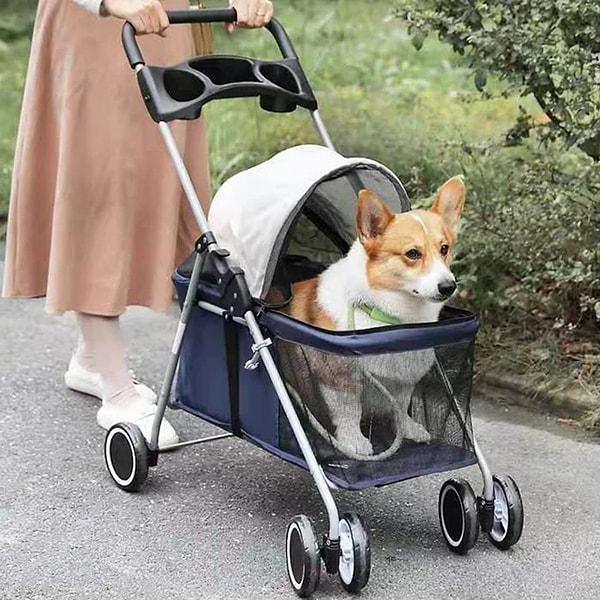 Evcil dostlarımızın bebek arabasına benzer arabalarda dolaştırılmasına alışkınız.