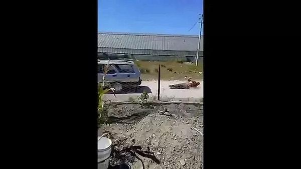 Antalya'da bir kişi, köpeğinin ölümüne neden olduğu gerekçesiyle tartıştığı komşusunu halatla otomobilin arkasına bağlayarak yaklaşık 20 metre sürükledi.