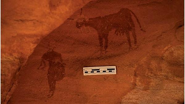Yeni yapılan çalışmalarda, Sahra Çölü'nün en kurak bölgelerinden birinde kayaya yapılmış inek resmi ortaya çıktı!