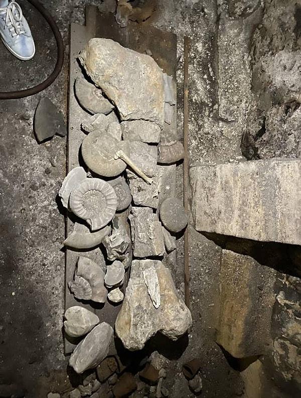 2. Bir kişi kuzeydoğu Fransa'daki 15. yüzyıldan kalma evinin bodrumunda bir dinozor kemiği bulmuş: