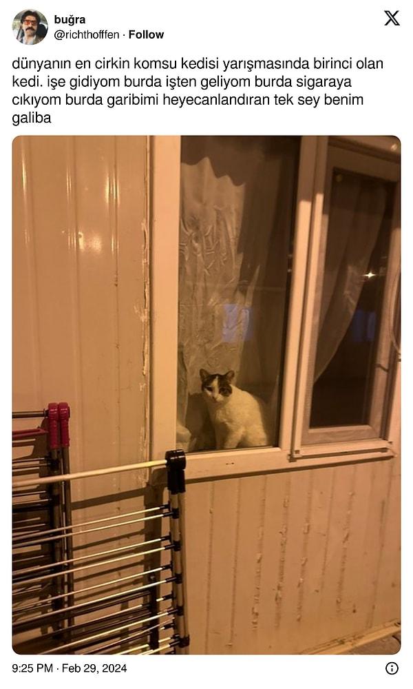 Dostlarımızın deli hareketleri de bize bir o kadar iyi geliyor. Geçtiğimiz günlerde bir Twitter kullanıcısı, camdan dışarıyı izleyen kediyi bu notla paylaştı:
