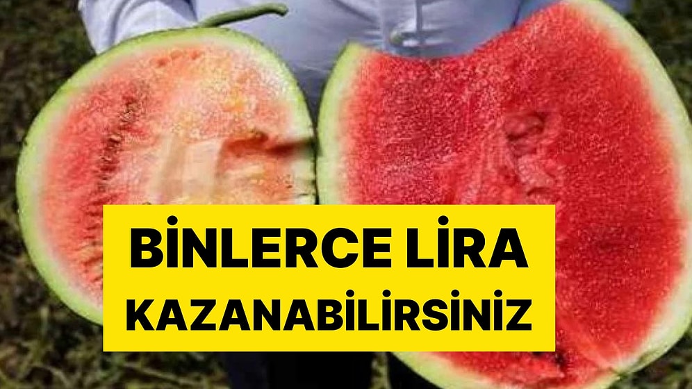 Karpuz Kelek Çıktıysa Dikkat: Binlerce Lira Kazanabilirsiniz!