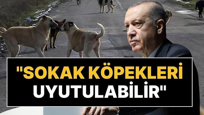 AK Parti'de Kritik Sokak Köpeği Zirvesi: Uyutulma Seçeneği de Gündemde!
