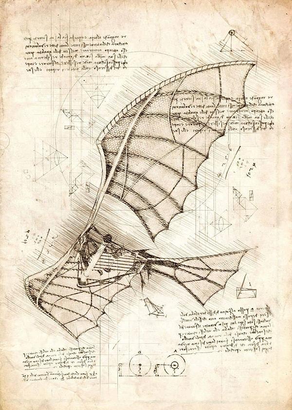 Ancak Leonardo sadece sanatçı etiketini aşmıştı. O bir astronom, jeolog, matematikçi, botanikçi, mühendis, mimar, müzisyen ve hatta bir mucitti.