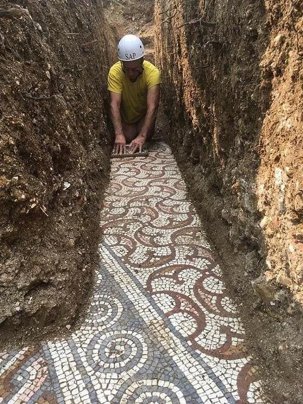 6. Bu çarpıcı mozaikler İtalya'nın Verona eyaletinde, Negrar kasabası yakınlarındaki bir üzüm bağının altından yeni çıkarıldı. Mozaikler 3. yüzyıldan 4. yüzyıla kadar tarihlendirilmiştir.