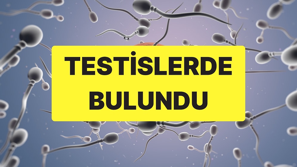 Sperm Kalitesini Düşürüyor: İnsan Testislerinde Mikroplastik Bulundu!