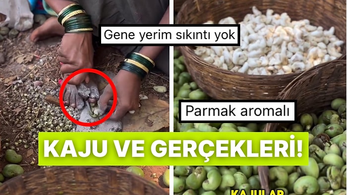 Hindistan Yine Şaşırtmadı: Artık Kaju Yemeden Önce İki Kere Düşüneceksiniz!