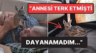 Sivas'ta Bir Adam, Ormanda Bulduğu Aç ve Susuz Karaca Yavrusunu Evine Aldı