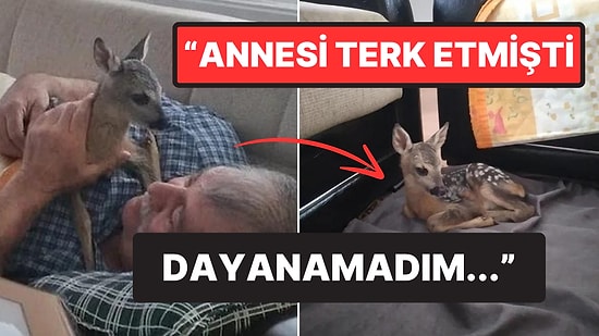 Sivas'ta Bir Adam, Ormanda Bulduğu Aç ve Susuz Karaca Yavrusunu Evine Aldı