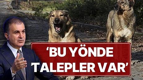 AK Parti'den 'Sokak Köpeği' Teklifiyle İlgili İlk Açıklama: 'Bu Yönde Talepler Var'