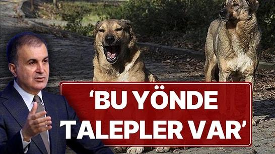 AK Parti'den 'Sokak Köpeği' Teklifiyle İlgili İlk Açıklama: 'Bu Yönde Talepler Var'