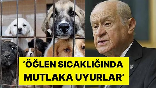 MHP Genel Başkanı Devlet Bahçeli'den Dikkat Çeken Sokak Hayvanı Soruları: 'Ne Kadar Uyutulacak?'
