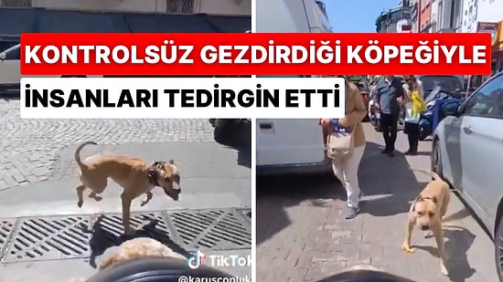 Pitbull Cinsi Köpeğiyle Adeta İnsanları Korkutmak İsteyen Hareketler Sergileyen Vatandaş Panik Yarattı