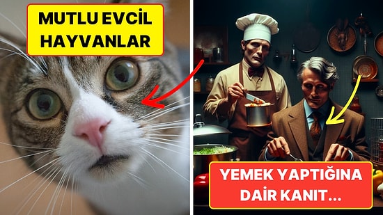 Birisinin Evinde Kesinlikle Görmek İsteyeceğiniz 12 Çok Önemli Madde