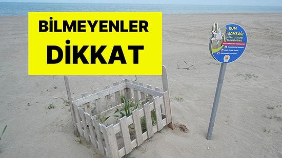 Dikkat! Bu Çiçeği Koparan Yandı: Cezası 387 Bin TL