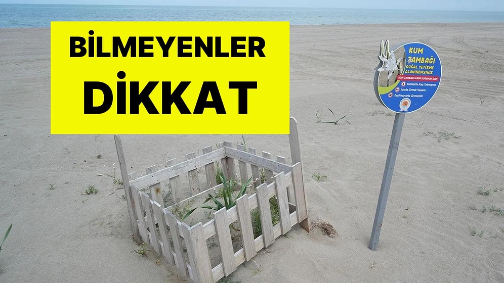 Dikkat! Bu Çiçeği Koparan Yandı: Cezası 387 Bin TL