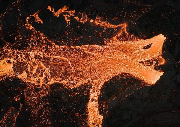 The Fire Dragon is among the most ambitious photos competing in 2024!