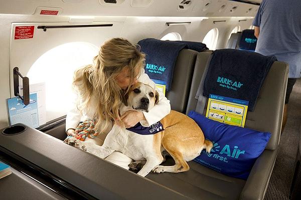Bark Air provides a unique experience labeled as "the world's first flight designed first for dogs and then for their human companions."