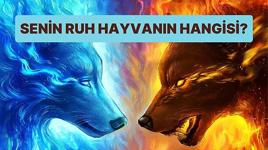 10 Soruluk Karakter Testine Göre Senin Ruh Hayvanın Hangisi?