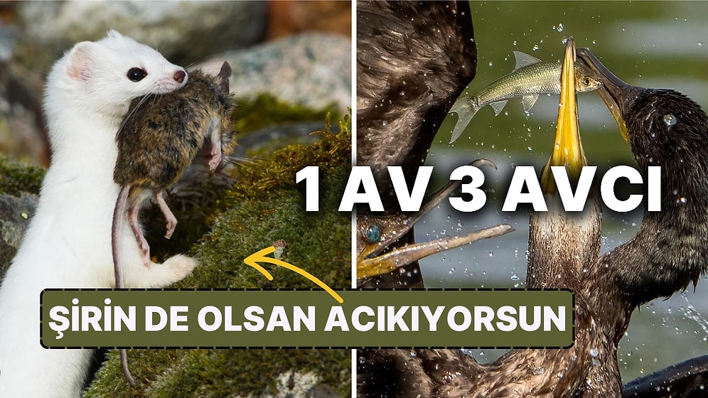 Doğanın Korkutucu Yüzünü İliklerinize Kadar Hissetmenize Sebep Olacak Birbirinden Ürkütücü 15 Yeni Fotoğraf